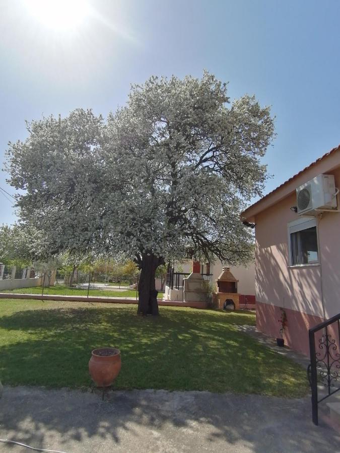 Αξέχαστη Διαμονή - Unforgettable Accommodation Nea Kallikrateia Exterior photo