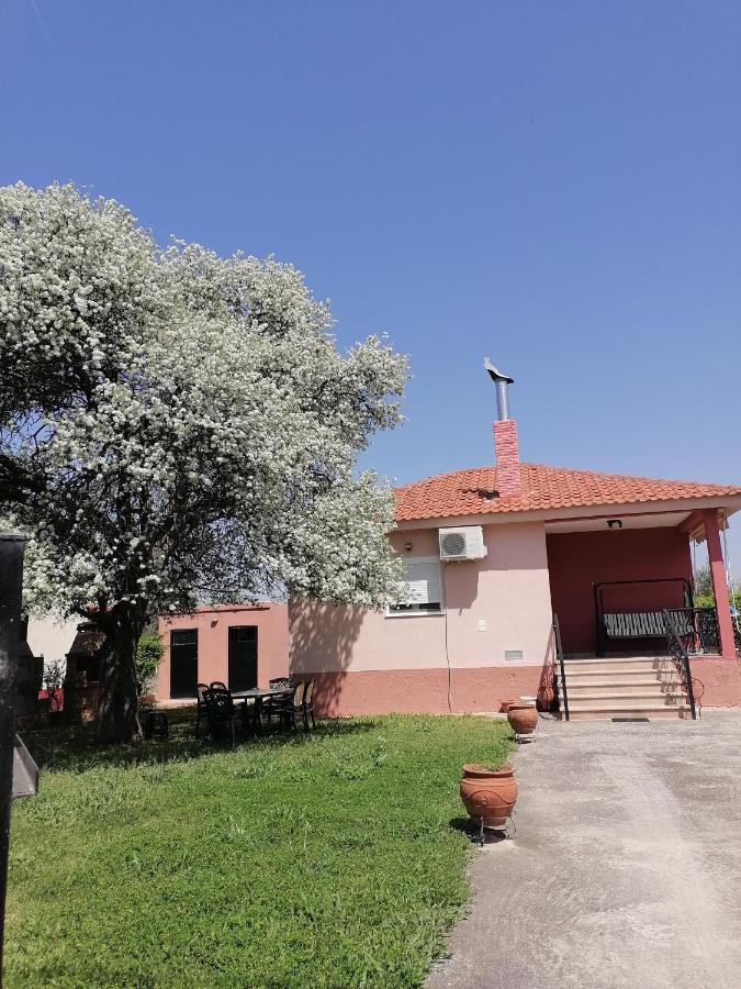 Αξέχαστη Διαμονή - Unforgettable Accommodation Nea Kallikrateia Exterior photo
